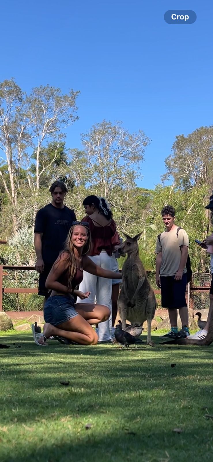 Aluno com canguru na Austrália