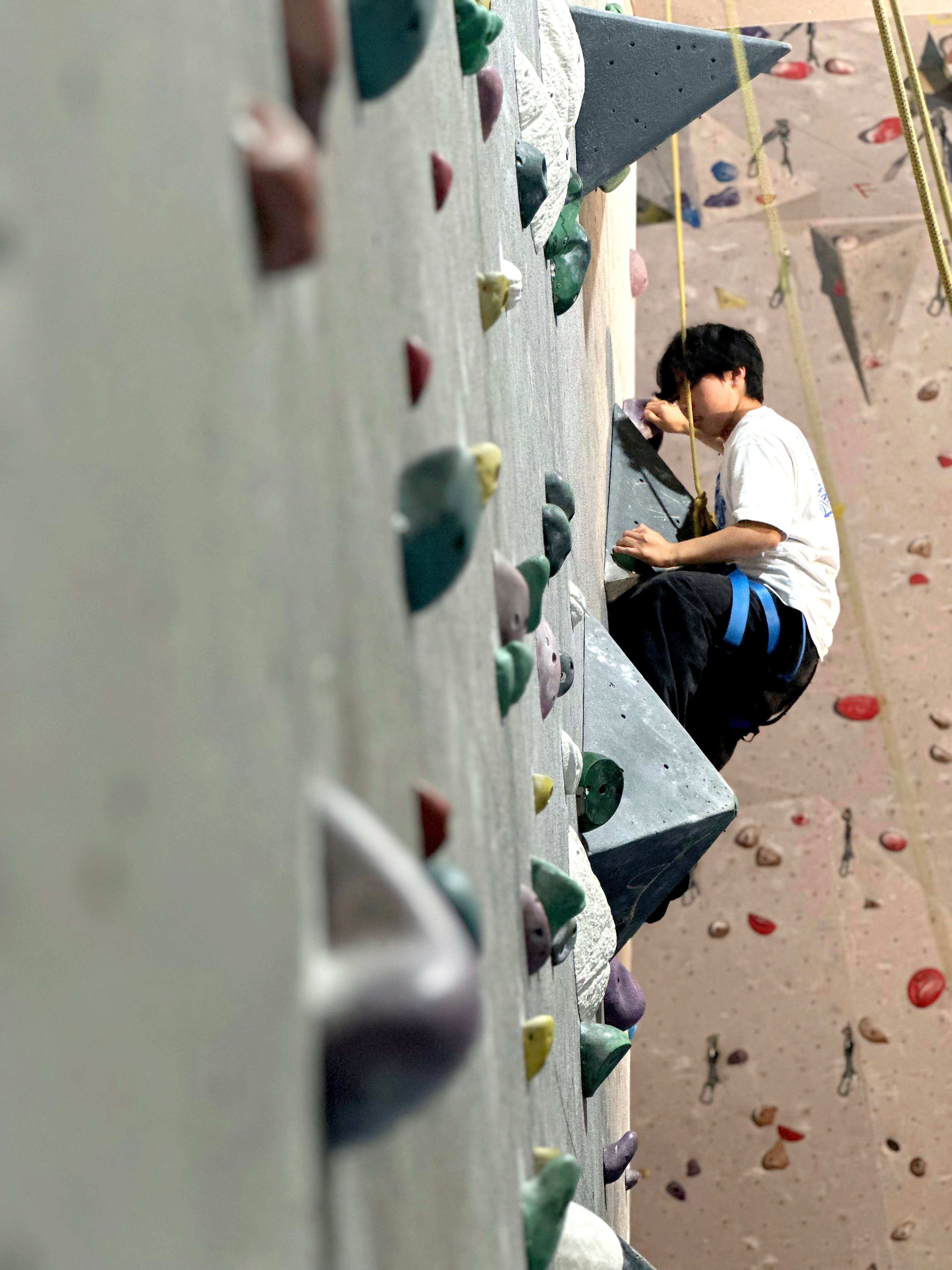 Escalada indoor